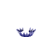 effect animation