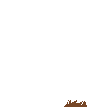 effect animation